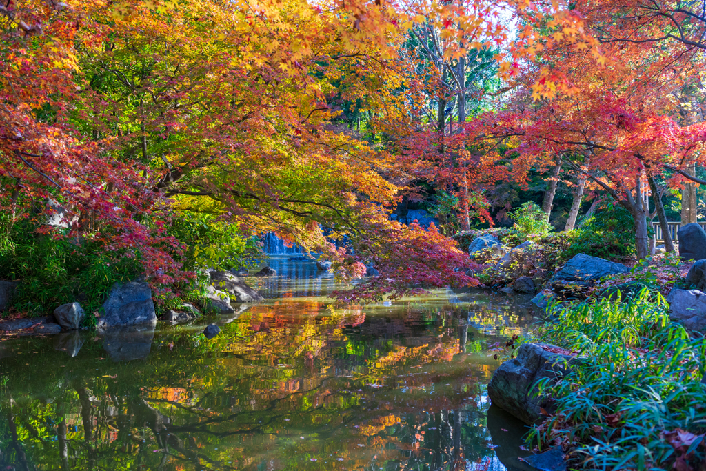 水面に映る紅葉