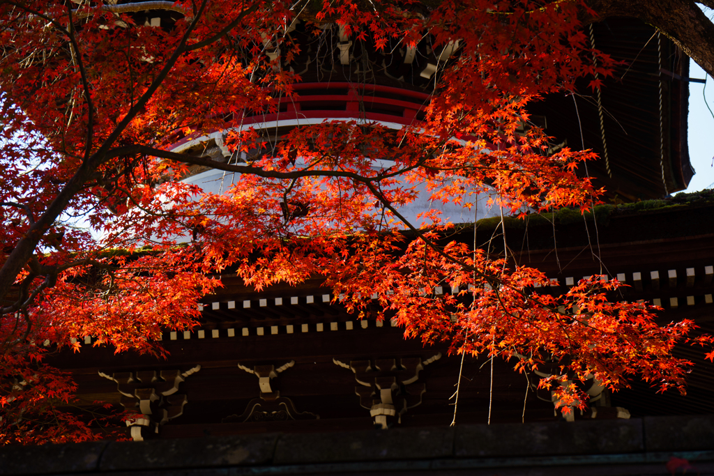 吉野山 東南院