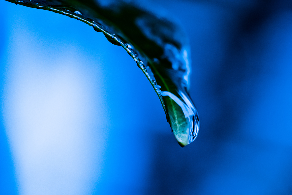 雨もまた楽し