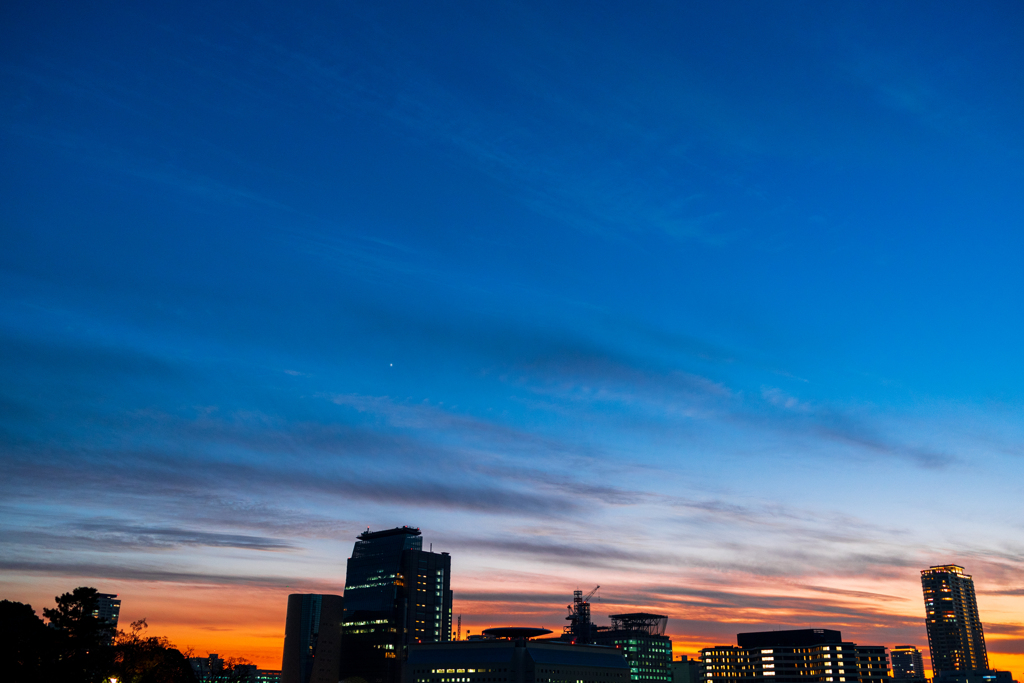 冬の空