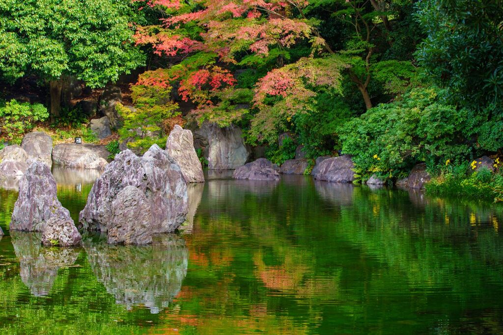 深山（みやま）の泉