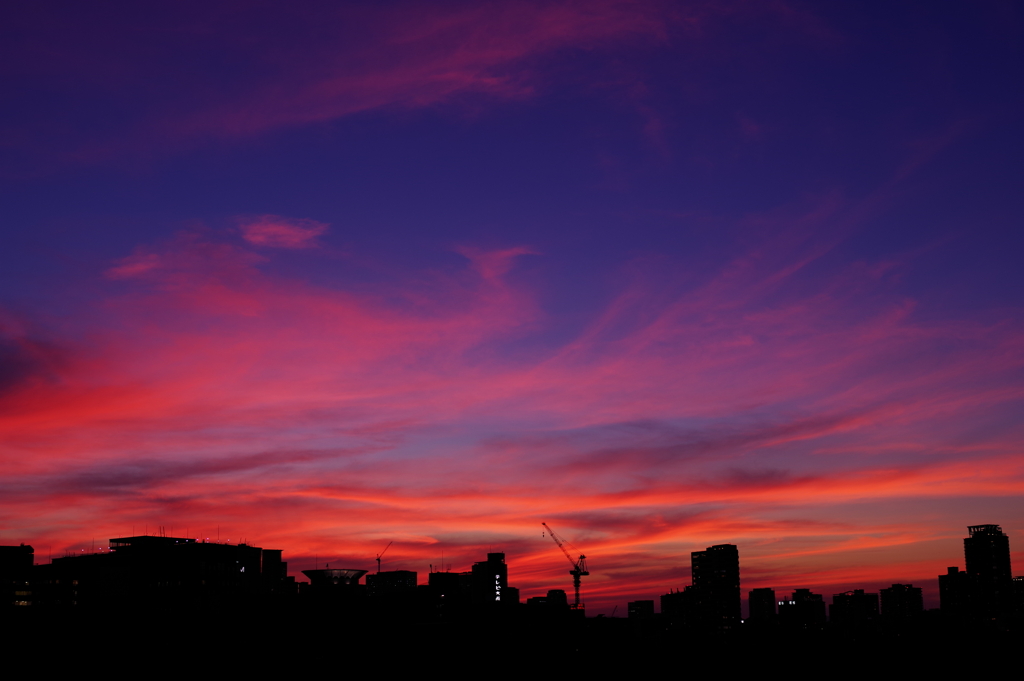 夏の夕焼け（大阪城）