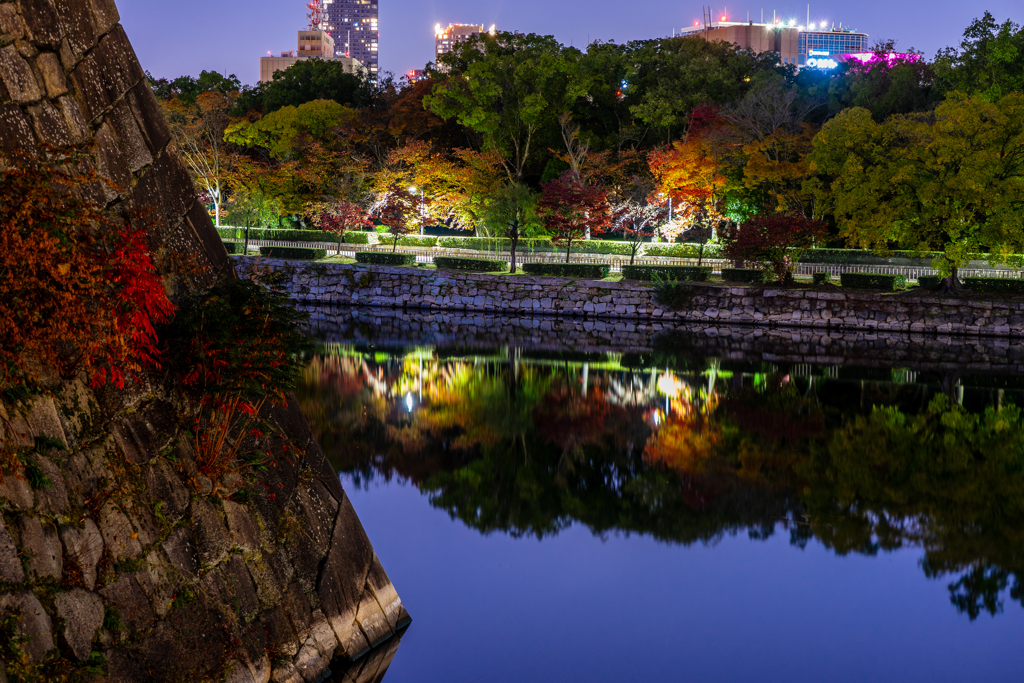 夜の石垣と紅葉