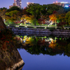 夜の石垣と紅葉