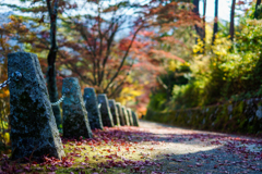 吉野の路