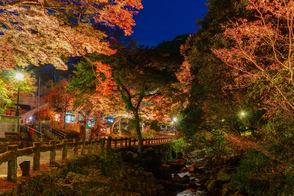 箕面滝道の夜景