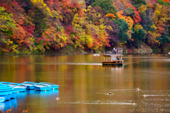 桂川　紅葉