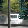 植物園にて