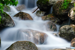 139F78D5-054D-421B-96C1-7D17DCD0AAE9