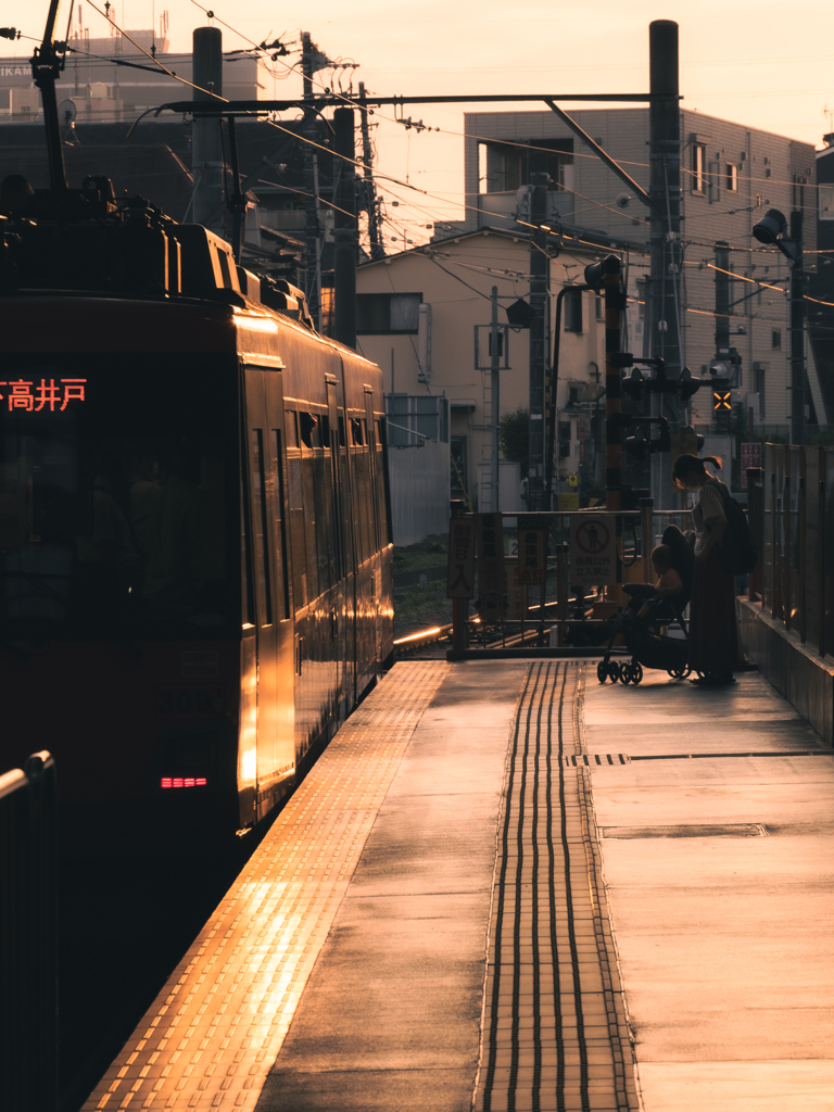 世田谷夕景