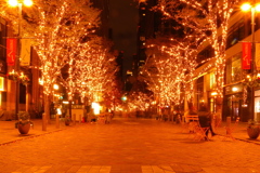 東京のイルミネーション