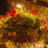 イルミネーションを盛り上げて