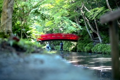 遠州 小國神社の宮川。