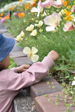 お花とおチビ。