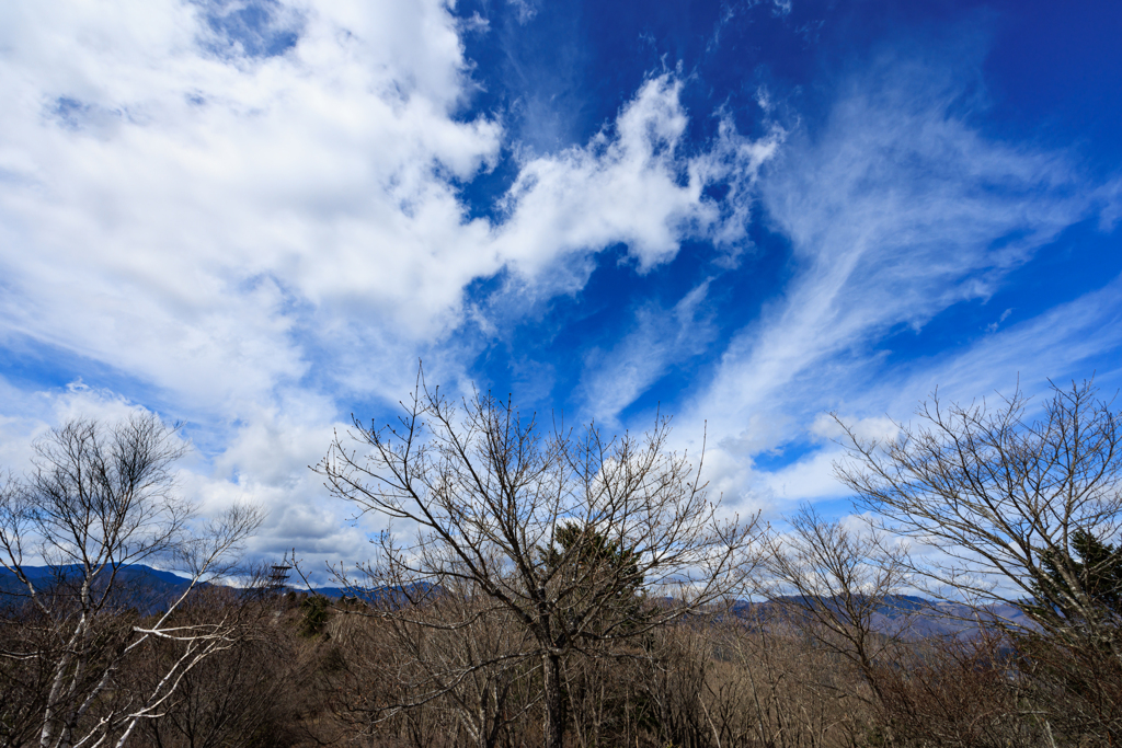 大空に向かってヽ(^o^)丿