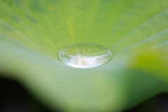 水玉クリスタル