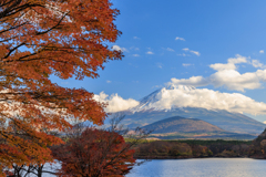 紅葉と子抱き富士