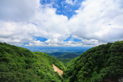 不動沢橋より望む