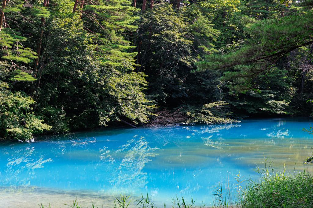 五色沼・青沼