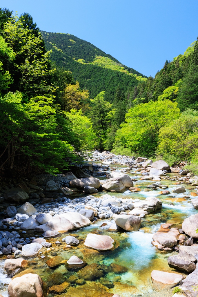 青空 新緑 渓流