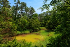 五色沼 赤沼