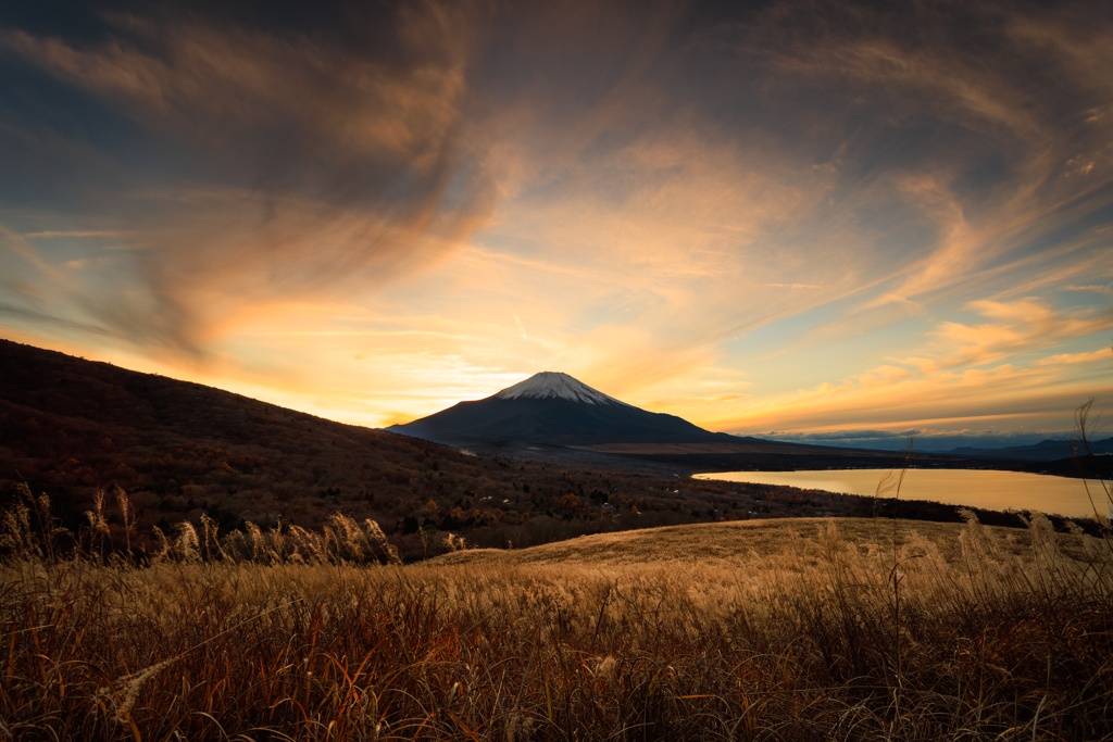 日の丸構図も・・