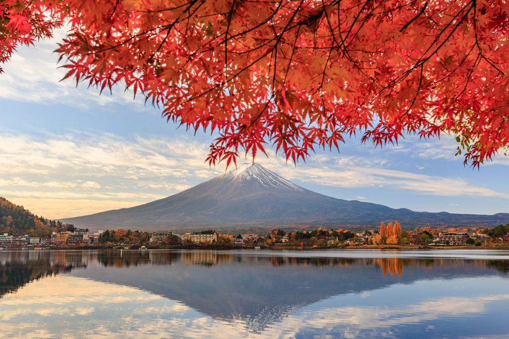 2025ボツ供養 その4(秋)