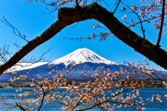 富士と桜with富士枝フレーム＾＾