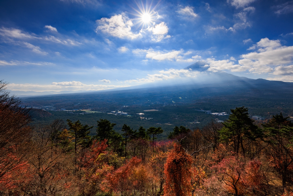 紅葉台展望台にて　ウニウニを～