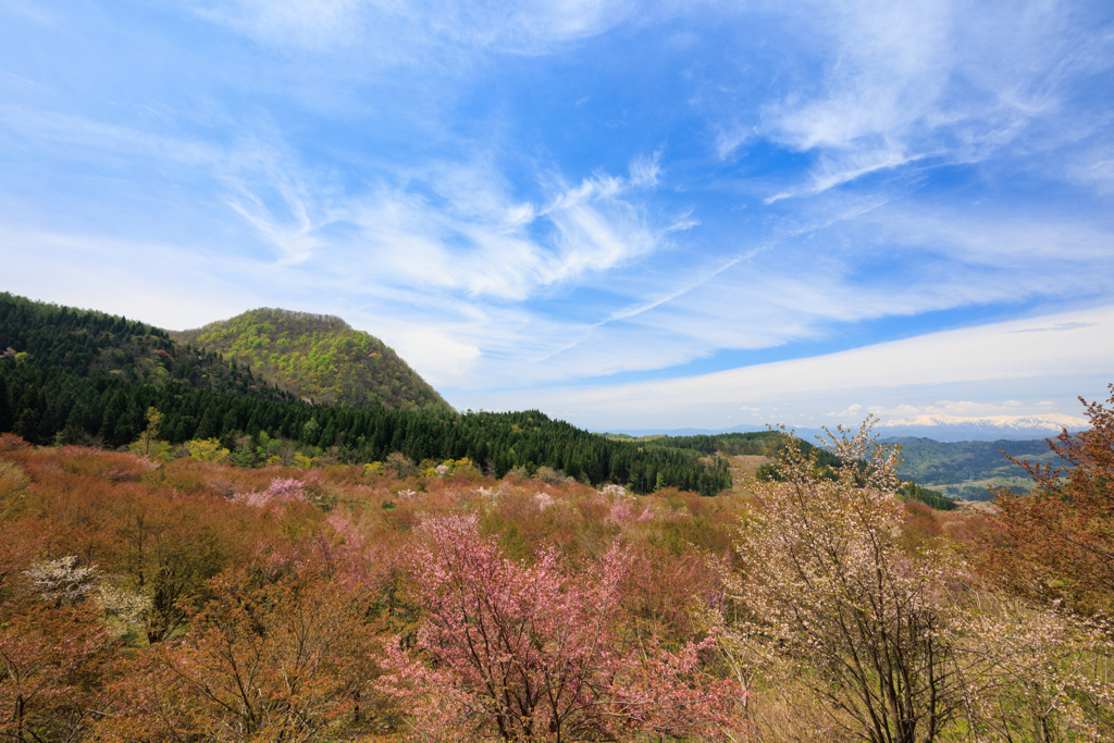 桜峠 終焉