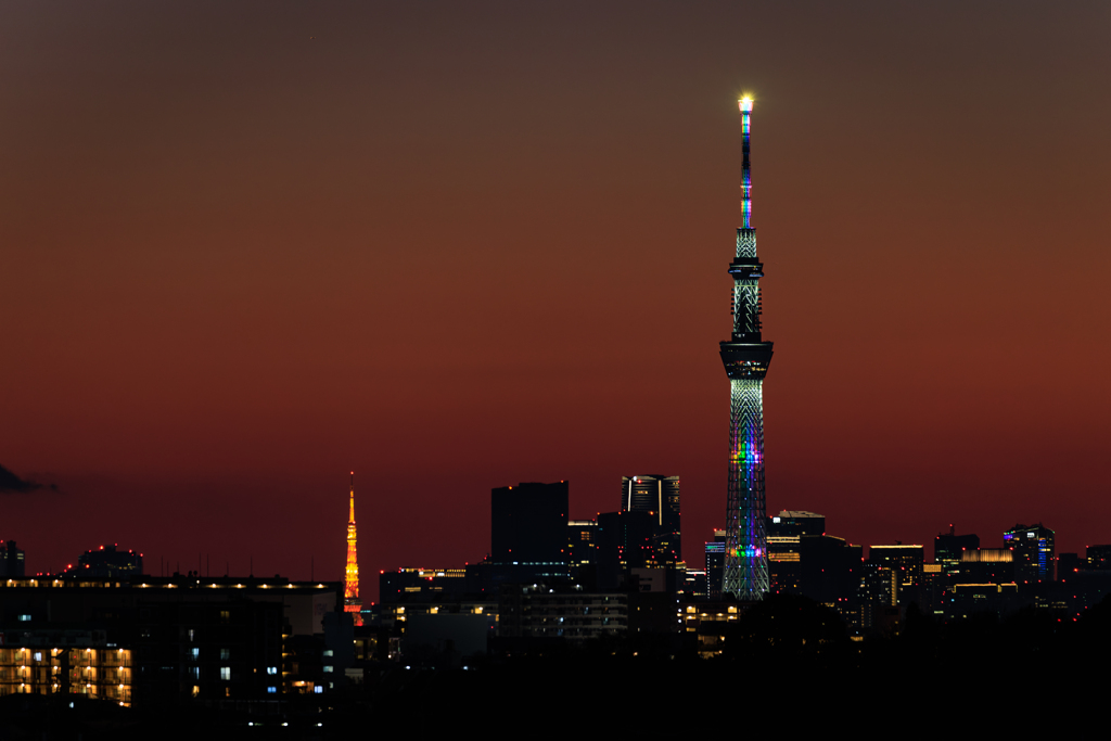 屋上より スカイツリー＆東京タワー その2