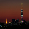 屋上より スカイツリー＆東京タワー その2