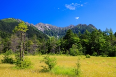 田代湿原