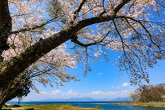 桜屋根の磐梯山と猪苗代湖 その２