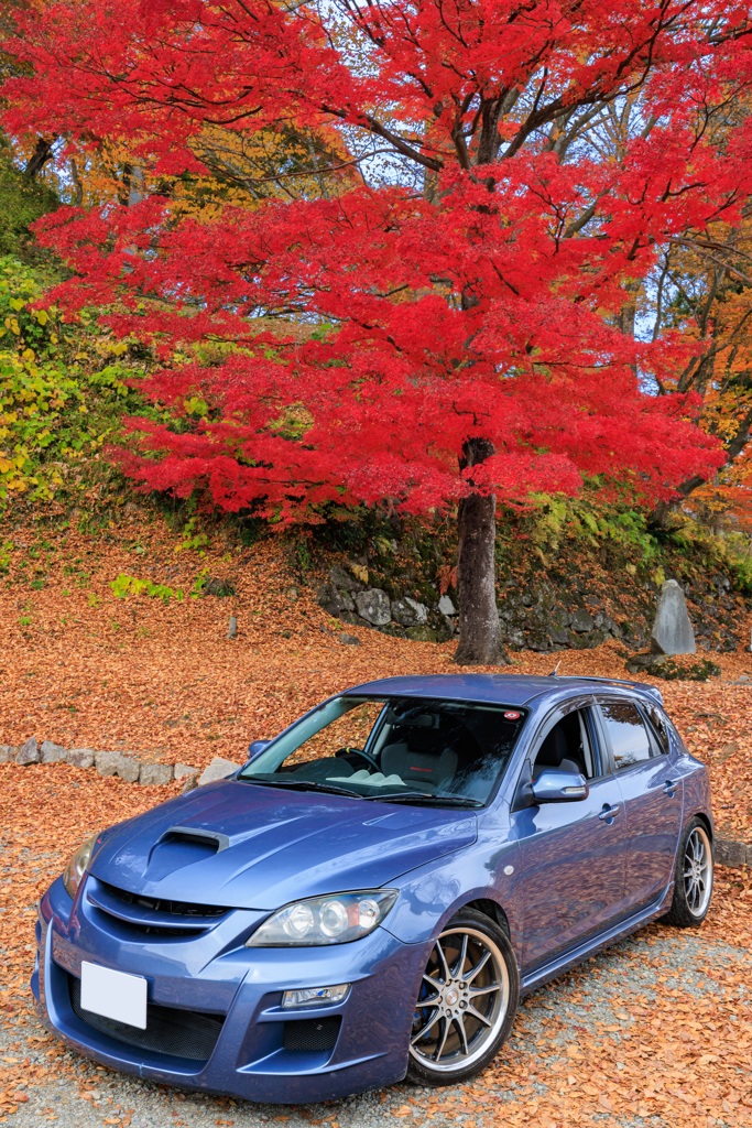 真っ赤の下の愛車