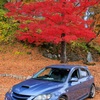 真っ赤の下の愛車