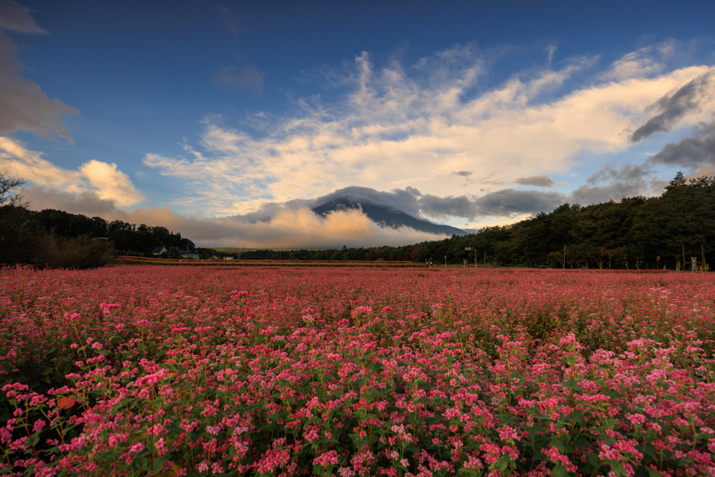 雲に覆われる富士山