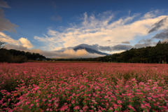 雲に覆われる富士山