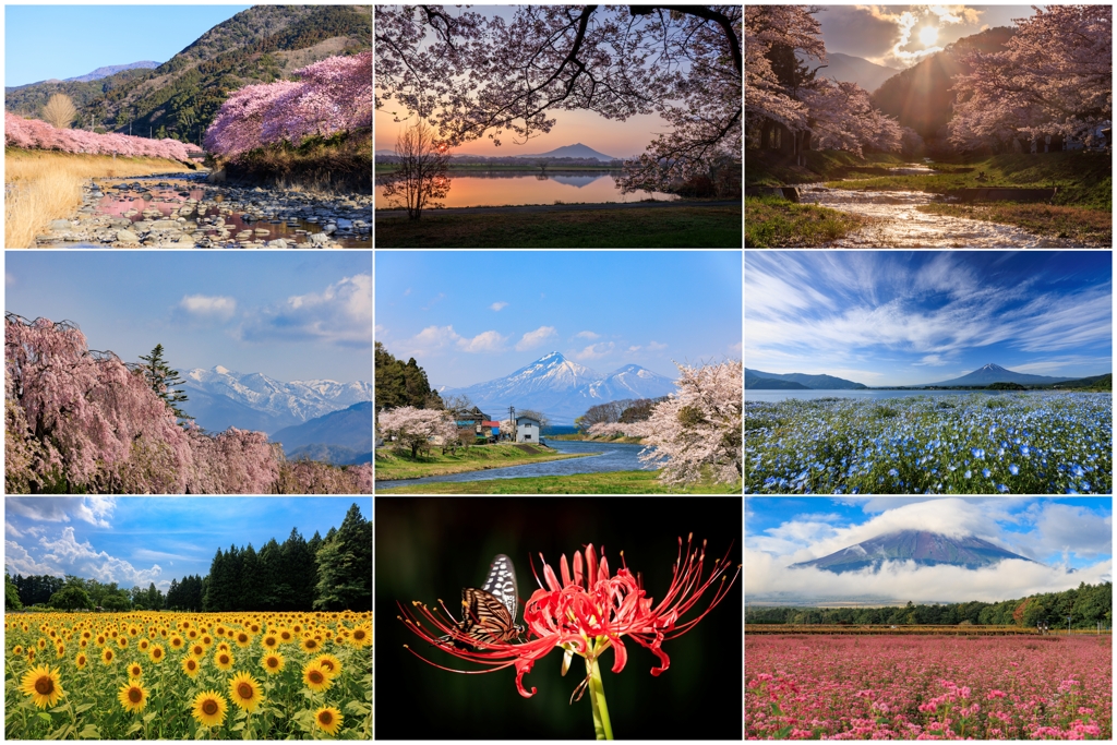 2025ダイジェスト 花編