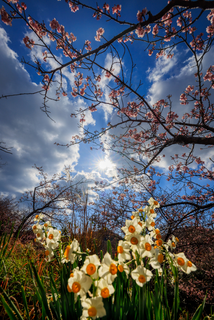 ウニウニに向かって＾＾