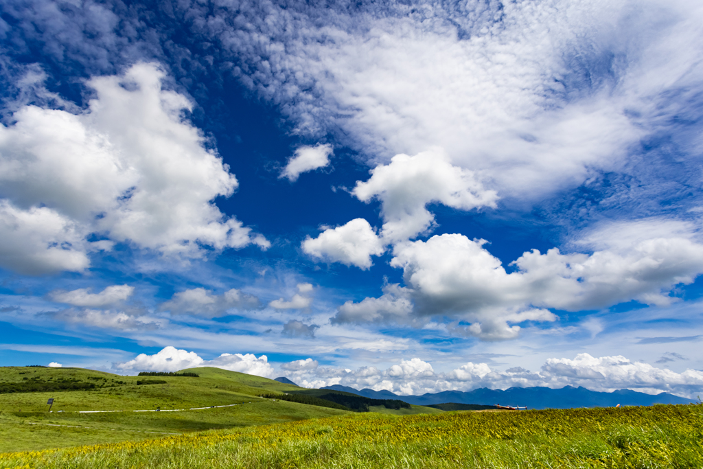 霧ヶ峰高原にて