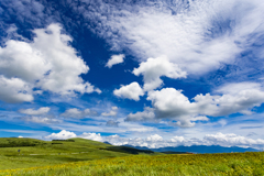 霧ヶ峰高原にて
