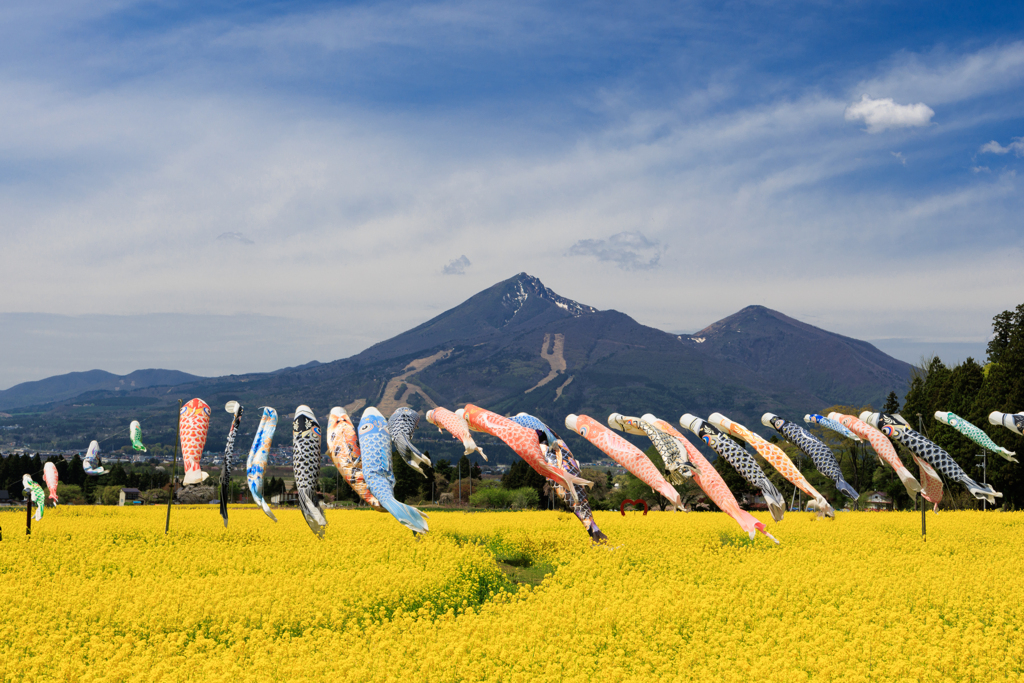 屋根より高いが・・