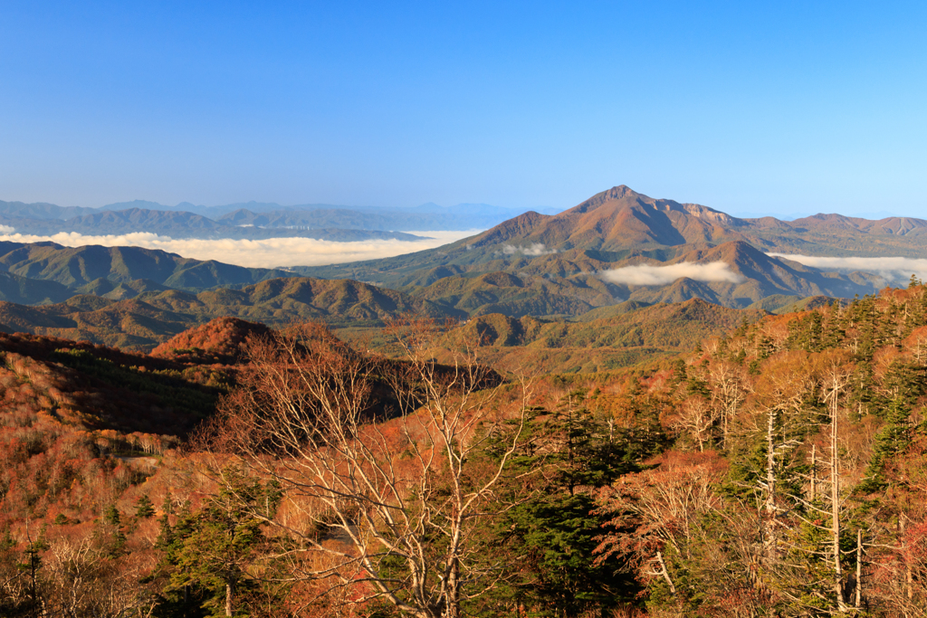 磐梯吾妻スカイライン 双竜の辻より