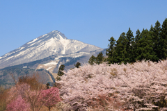 亀ヶ城公園 スキー場も雪解け