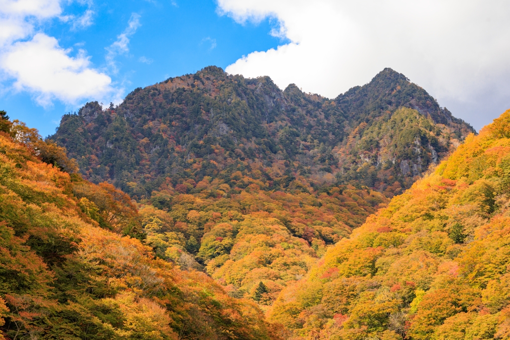 鶏冠山