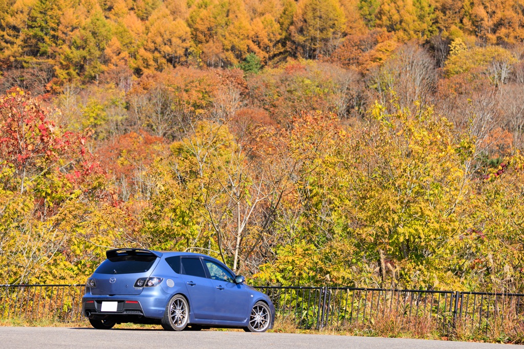 愛車も紅葉見物＾＾