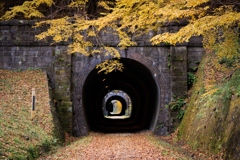 アプトの道