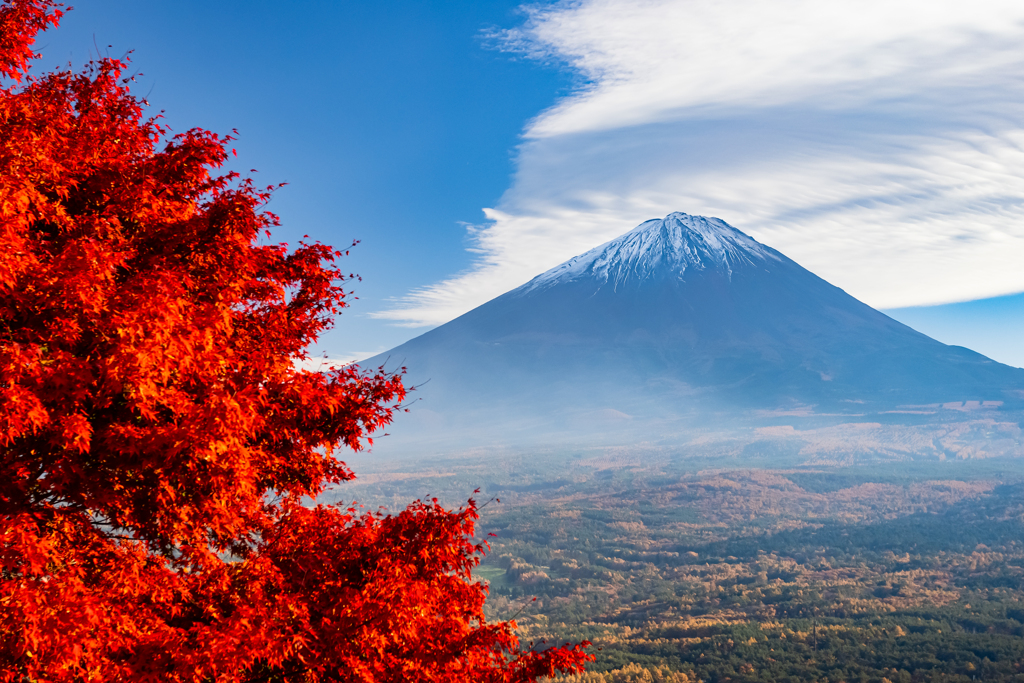 今年はどうかな？　その２