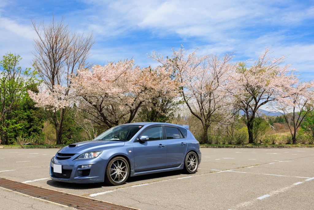 愛車と残り桜